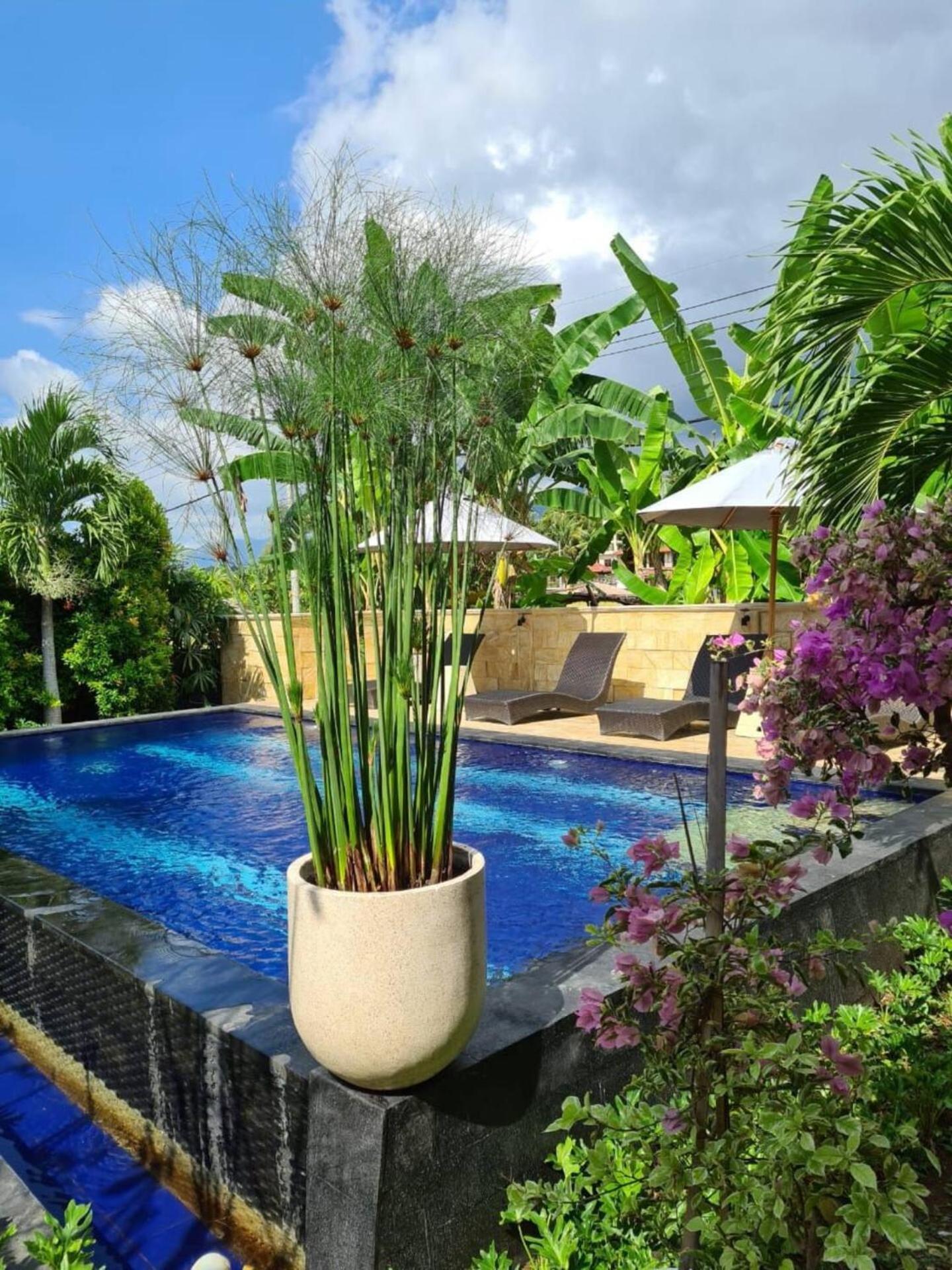 Villa Aurora *